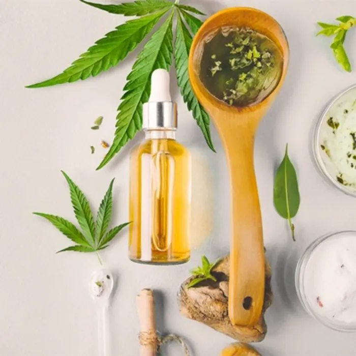 How Much CBD Oil From One Plant? [Update For 2022]