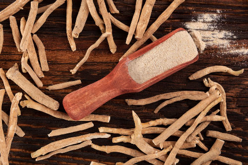 Ashwagandha For Testosterone