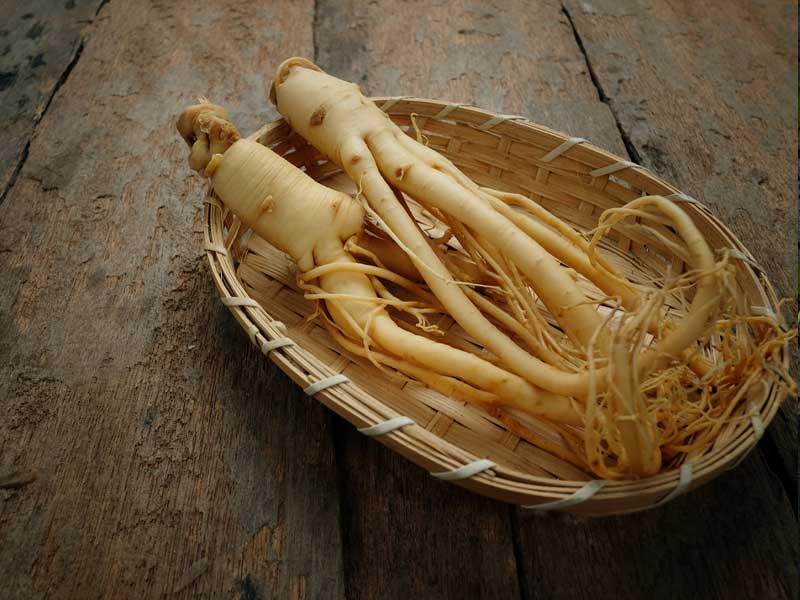 ginseng supplements