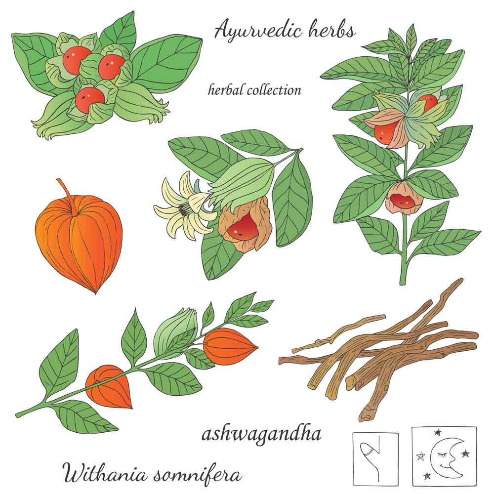 Organic Ashwagandha