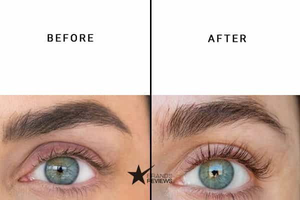 Shiseido Eyelash Serum Before and After