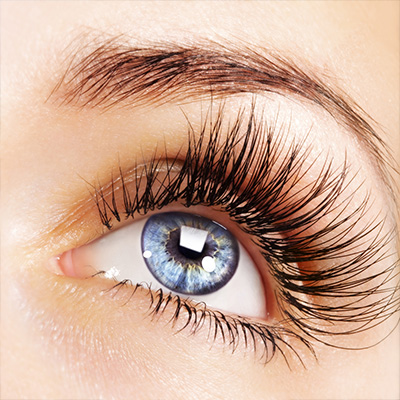 the best eye lash serums