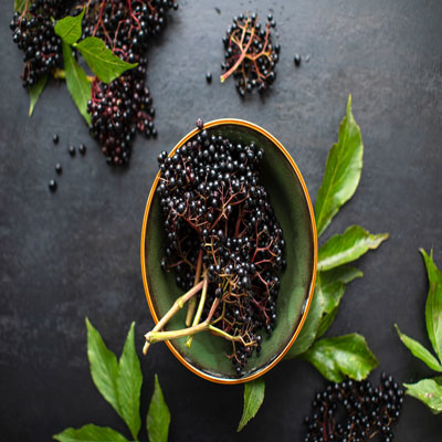 What Are The Benefits Of Elderberry?