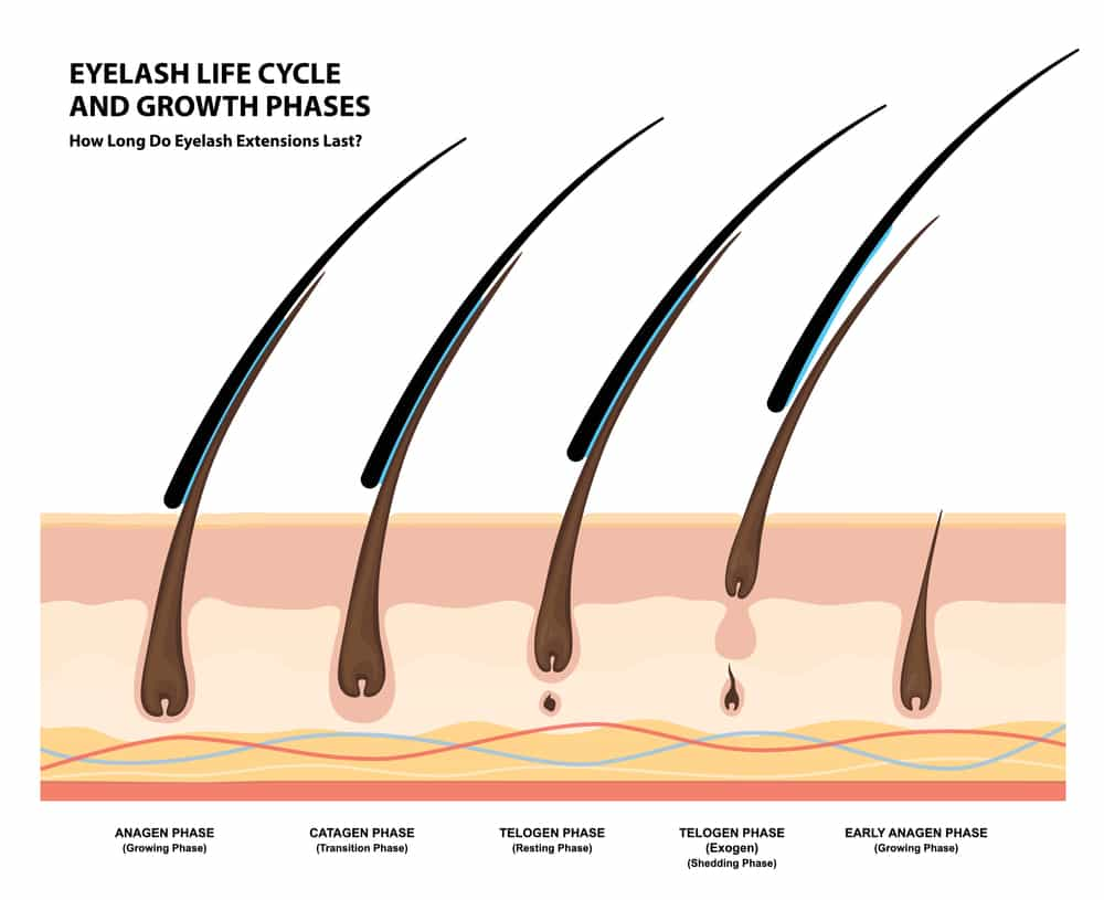 Woolash Have Prostaglandin