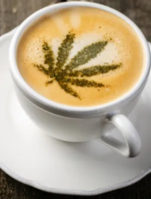 Best CBD Coffee