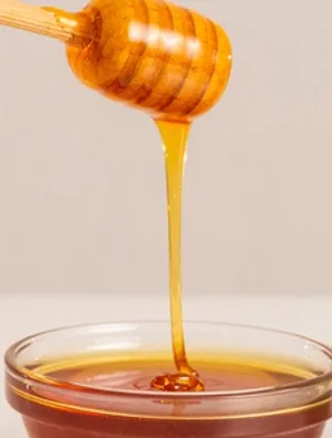 Best CBD Honeys