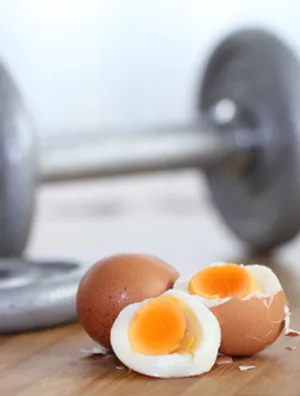 Best Egg Proteins