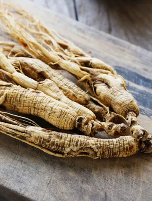 Is Ginseng Good For Females And Men?