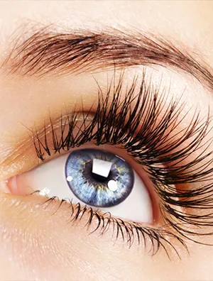 the best eye lash serums