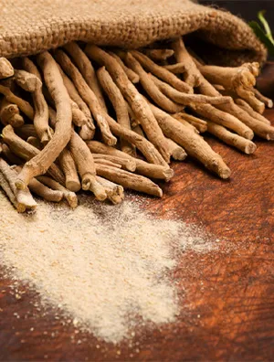 What Are Ashwagandha Benefits?