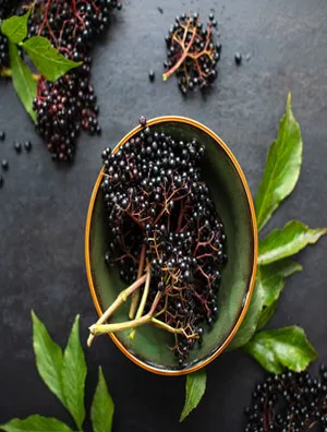 What Are The Benefits Of Elderberry?